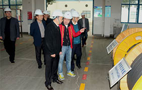 2015年11月22日，郎溪县党政代表团一行来JDB电子电缆参观调查