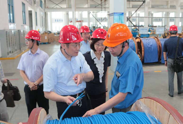 2016年7月22日，泸州市委常委、副市长王建翔一行来JDB电子电缆参观调查