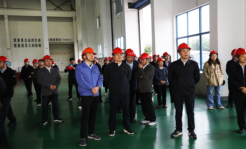 安徽池州青阳县党政代表团一行来JDB电子电缆调查